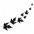/album/galerie-de-photos-catalogue-dimage/imagest0f30umq-jpg/