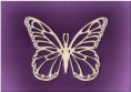 /album/dentelle/th5woor3az-jpg/